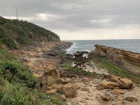 IMG_8520.jpg