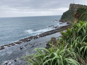 IMG_8768.JPG