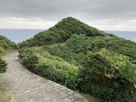 IMG_8773.JPG