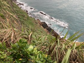 IMG_8913.JPG