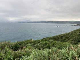IMG_8917.JPG
