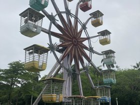 IMG_5244.JPG