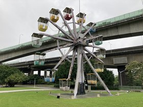 IMG_5250.JPG