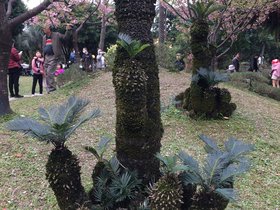 Zhongshan Park