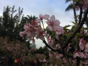 IMG_8652.JPG