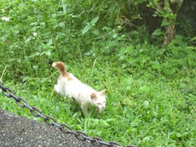 DSC02260.JPG