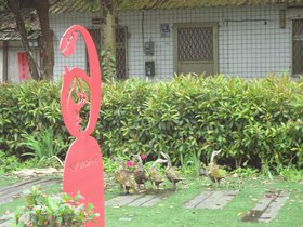 DSC02279.JPG