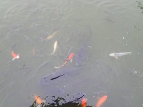 DSC02302.JPG