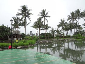 DSC02310.JPG