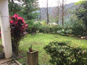 IMG_0252.JPG