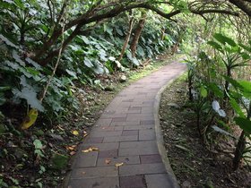 IMG_0279.JPG