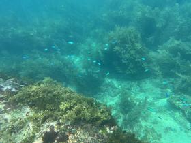 IMG_0501.jpg