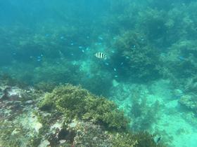 IMG_0502.jpg