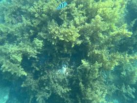 IMG_0507.jpg