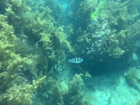 IMG_0508.jpg