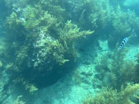 IMG_0509.jpg