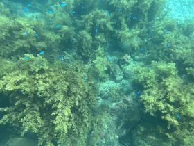 IMG_0515.jpg