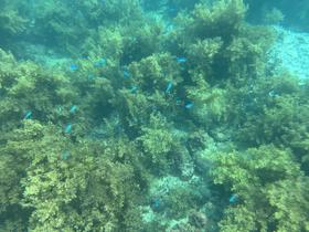 IMG_0516.jpg