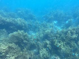 IMG_0524.jpg