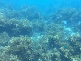 IMG_0525.jpg