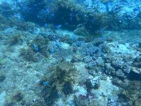 IMG_0564.jpg