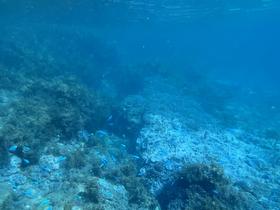 IMG_0565.jpg