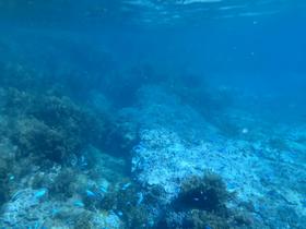 IMG_0567.jpg