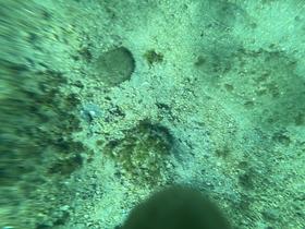 IMG_0573.jpg