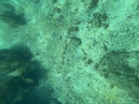 IMG_0574.jpg