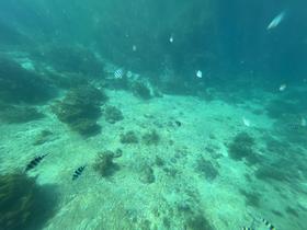 IMG_0575.jpg