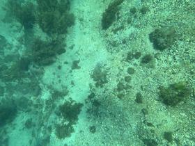 IMG_0576.jpg