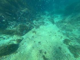 IMG_0577.jpg