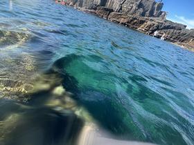 IMG_0584.jpg