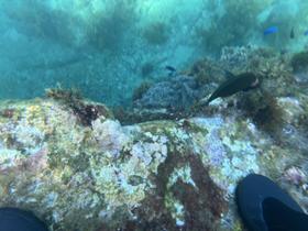 IMG_0585.jpg