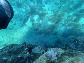 IMG_0595.jpg