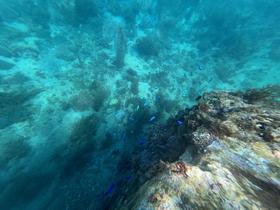 IMG_0596.jpg