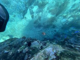 IMG_0598.jpg