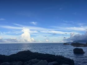 IMG_0695.jpg