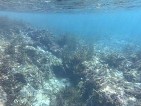 IMG_1555.jpg
