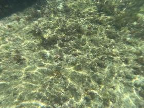 IMG_1562.jpg