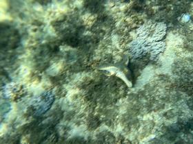 IMG_1613.jpg