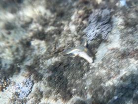 IMG_1616.jpg