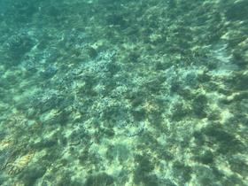IMG_1622.jpg