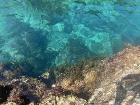 IMG_1623.jpg