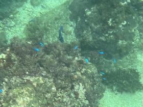 IMG_1730.jpg