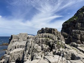 IMG_5366.JPG