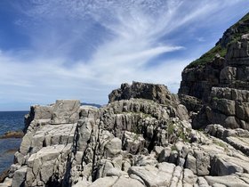IMG_5367.JPG