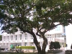 WP_20160804_09_55_19_Pro.jpg
