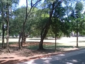 WP_20160804_09_57_07_Pro.jpg