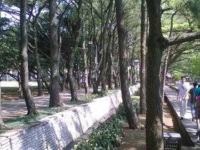 WP_20160804_10_01_02_Pro.jpg
